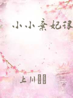 小小弃妃很倾城