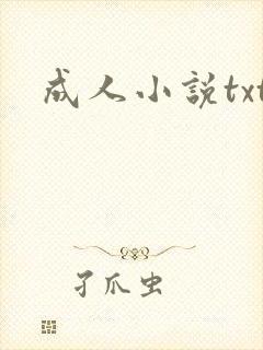 成人小说txt