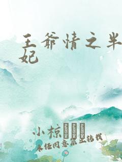 王爷情之半面王妃