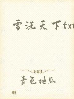 雪洗天下txt