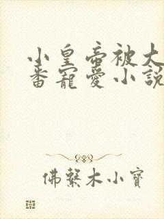 小皇帝被大臣轮番宠爱小说