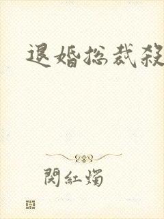 退婚总裁杀手妻