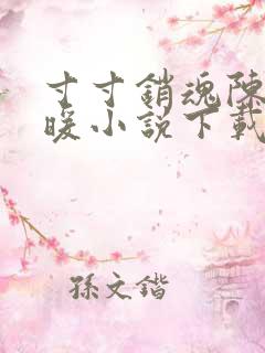 寸寸销魂陈聪王暖小说下载