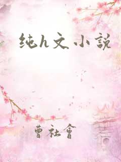 纯h文小说