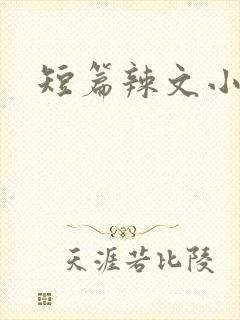短篇辣文小说
