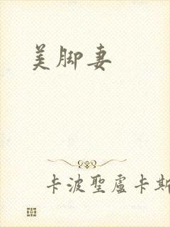 美脚妻