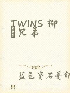 TWINS 柳澤兄弟