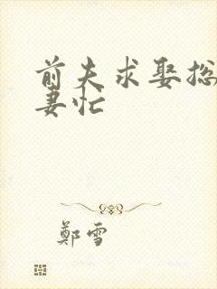 前夫求娶总裁追妻忙