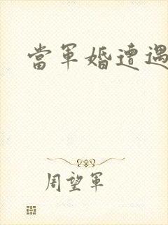 当军婚遭遇爱情