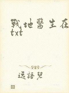 战地医生在都市txt