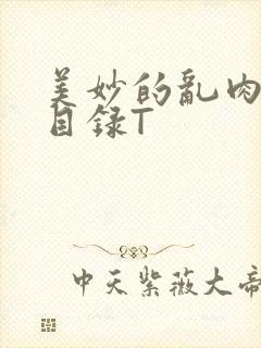 美妙的乱肉沉沦目录T