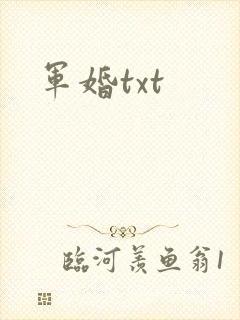 军婚txt