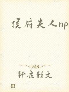 侯府夫人np
