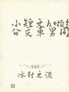 小短文h啪纯肉公交车男同