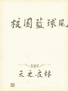校园蓝球风云