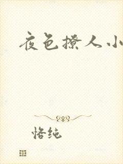 夜色撩人小说