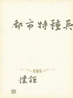 都市特种兵任天