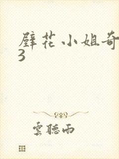 壁花小姐奇遇记3