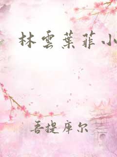 林云叶菲小说