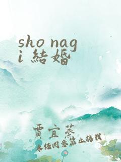 sho nagi 结婚