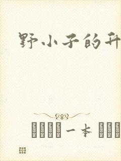 野小子的升官路