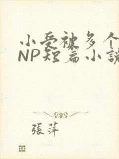 小受被多个攻强NP短篇小说