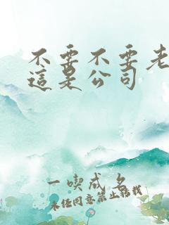 不要不要老板别这是公司