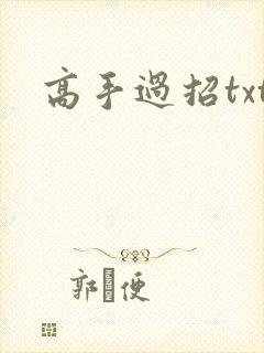 高手过招txt