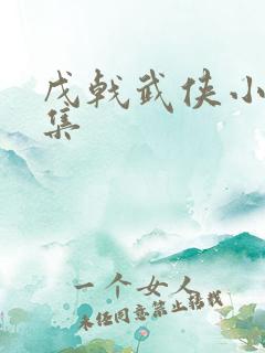 戊戟武侠小说全集