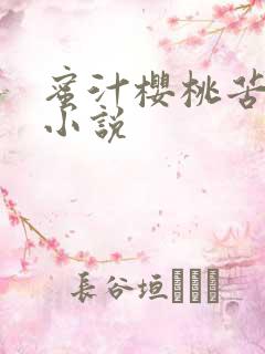 蜜汁樱桃苦咖啡小说