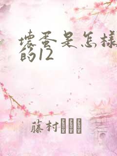 坏蛋是怎样炼成的12