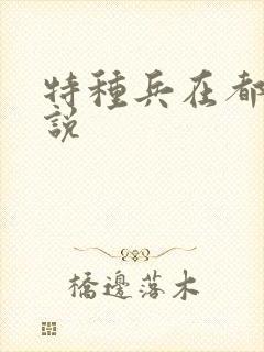 特种兵在都市小说