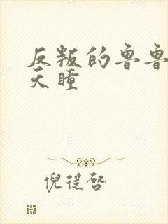 反叛的鲁鲁修之天瞳
