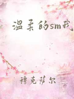 温柔的sm我