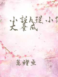 小说h从小做到大养成