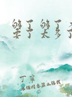 够了 够了 不要了 太多了