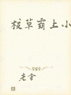 校草霸上小丫头