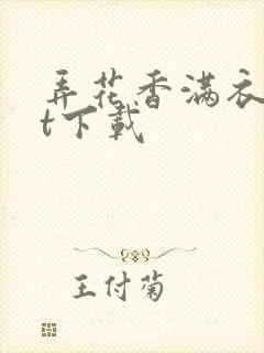 弄花香满衣txt下载