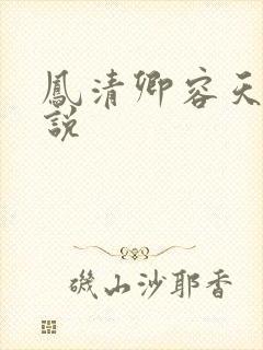 凤清卿容天凌小说