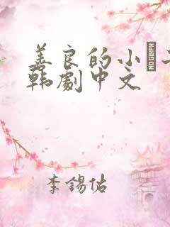 善良的小峓子2韩剧中文