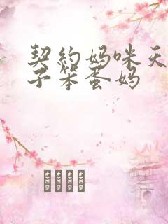 契约妈咪天才儿子笨蛋妈