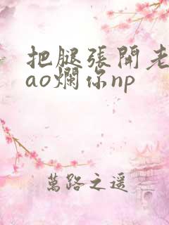 把腿张开老子cao烂你np