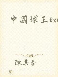 中国球王txt