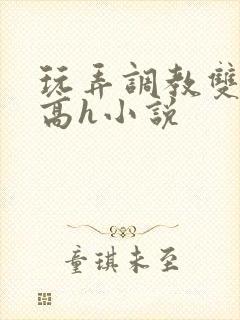 玩弄调教双胞胎高h小说