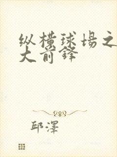 纵横球场之暴力大前锋