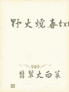 野火烧春txt