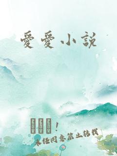 爱爱小说
