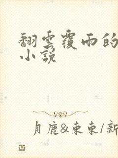 翻云覆雨的秘密小说