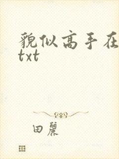 貌似高手在异界txt