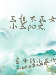 三观不正女主是小三po文